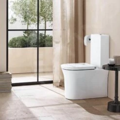 Duravit White Tulip - Duoblok Toilet, Vario Afvoer, Rimless, Met WonderGliss, Wit 21970900001 -Woonwinkel 11c50fd311697bb996da586f